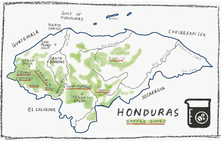 Organic Honduras